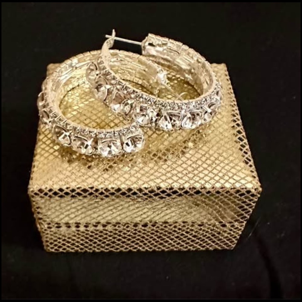 Elegant Silver Hoop Earrings